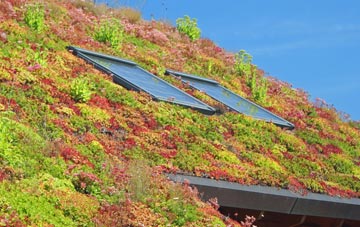 Oldhamstocks living roof systems