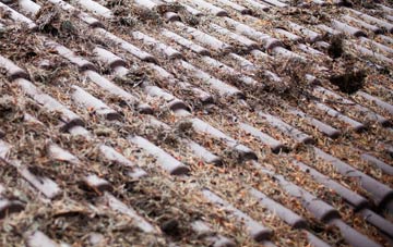 Oldhamstocks roof cleaning companies