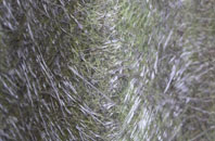 Oldhamstocks fibreglass roof work